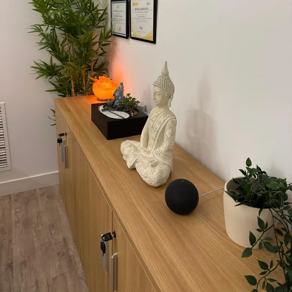 Un mueble de la consulta con una planta, una lámpara de sal y una figura